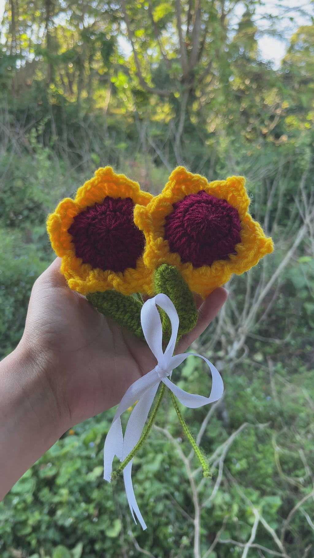 The Sun Flower Theory